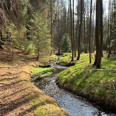 Palitz No 17 - Venkovske Staveni Lipova (Cheb)